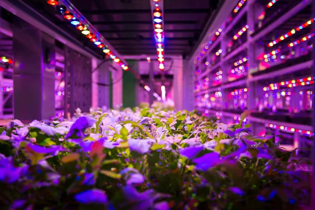 陕西趣联互娱科技:休闲游戏软件研发中的技术架构与实现路径